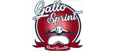 Gallo sprint srl